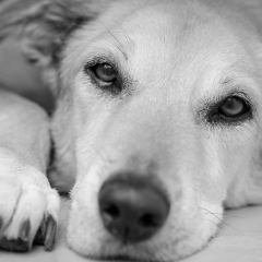 becker_2011_02_ii-1.jpg