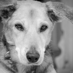 becker_2011_02_ii-2.jpg