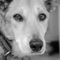 becker_2011_02_ii-3.jpg