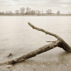 rhein_20110306_3.jpg