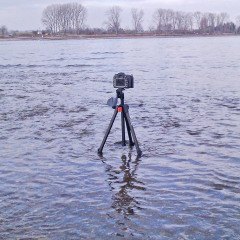 rhein_20110306_5.jpg