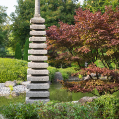 Rheinaue-9.jpg
