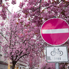 stb_heestrasse-1.jpg
