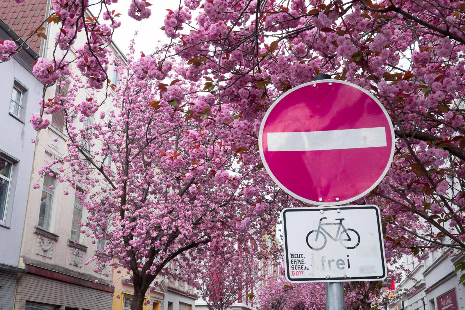 stb_heestrasse-1.jpg