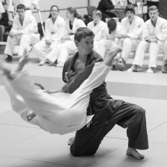 stb_idm2015-1.jpg
