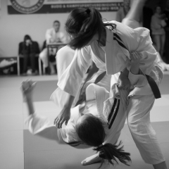 stb_idm2015-5.jpg