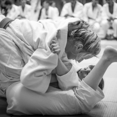 stb_idm2015-8.jpg
