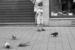 2016_10_stb_photofreunde-12