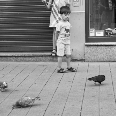 2016_10_stb_photofreunde-12