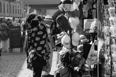 2016_10_stb_photofreunde-2