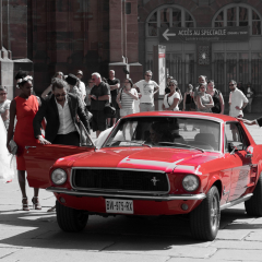 2016_10_stb_photofreunde-3