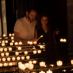 2016_10_stb_photofreunde-4