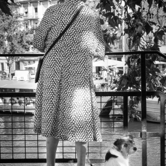 2016_10_stb_photofreunde-9