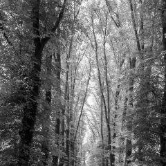 stb_schloss_tuernich-8