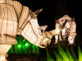 stb_Koelnerzoo-11