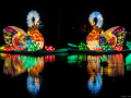 stb_Koelnerzoo-21