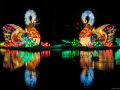 stb_Koelnerzoo-21