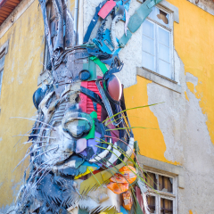 2018_Porto-22