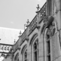 Stefan-Becker_Gent-6