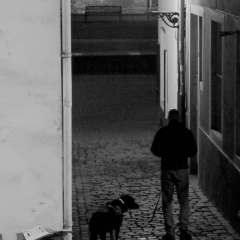 Street-4.jpg